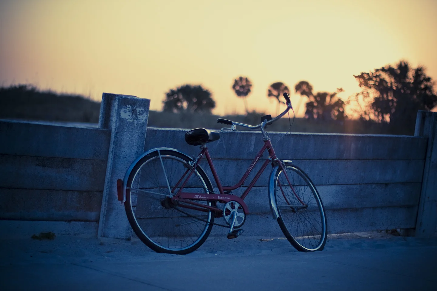 Beach Cruiser Night.jpg