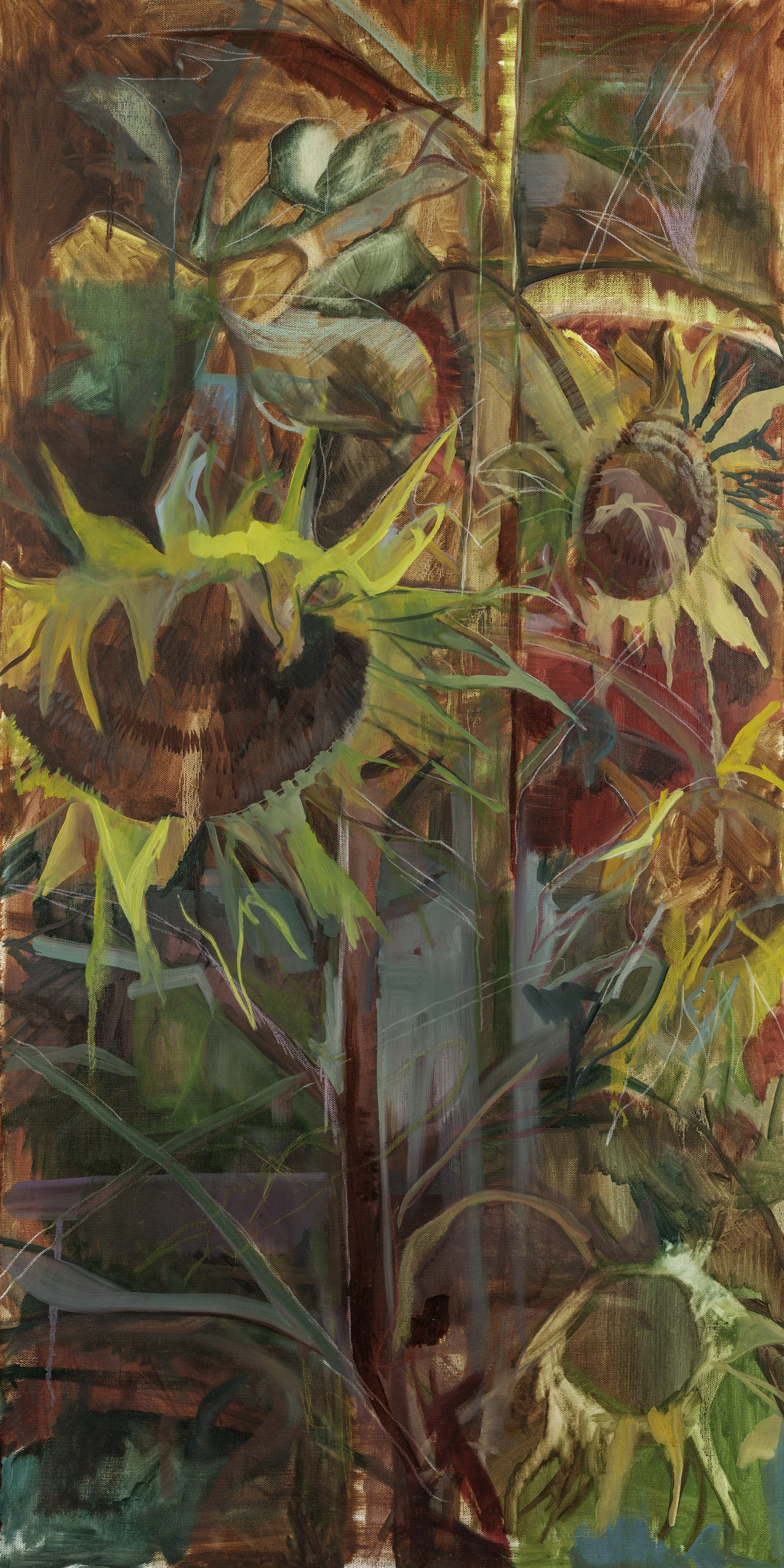 Summertime Sunflowers