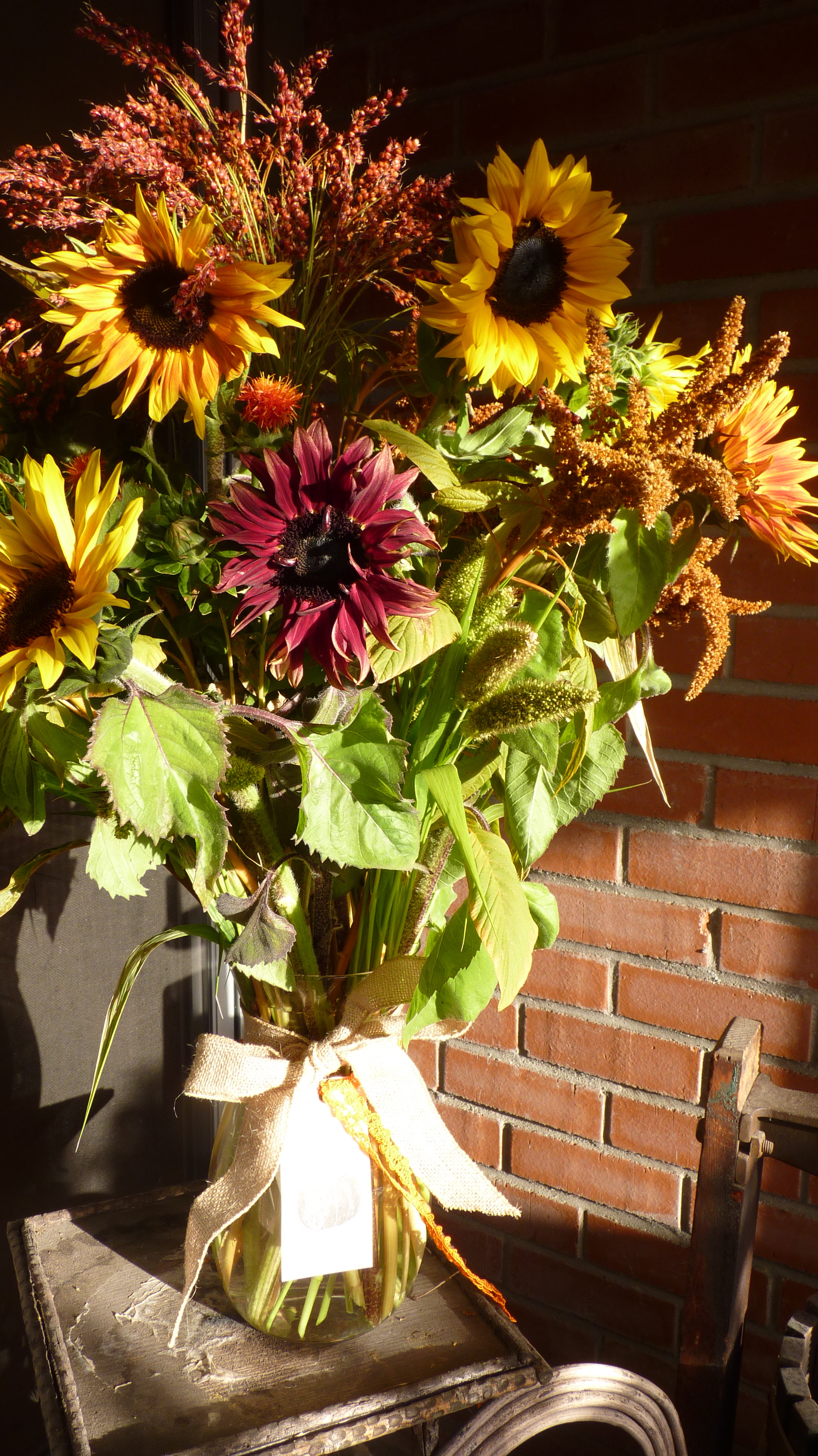 P1050504.jpg