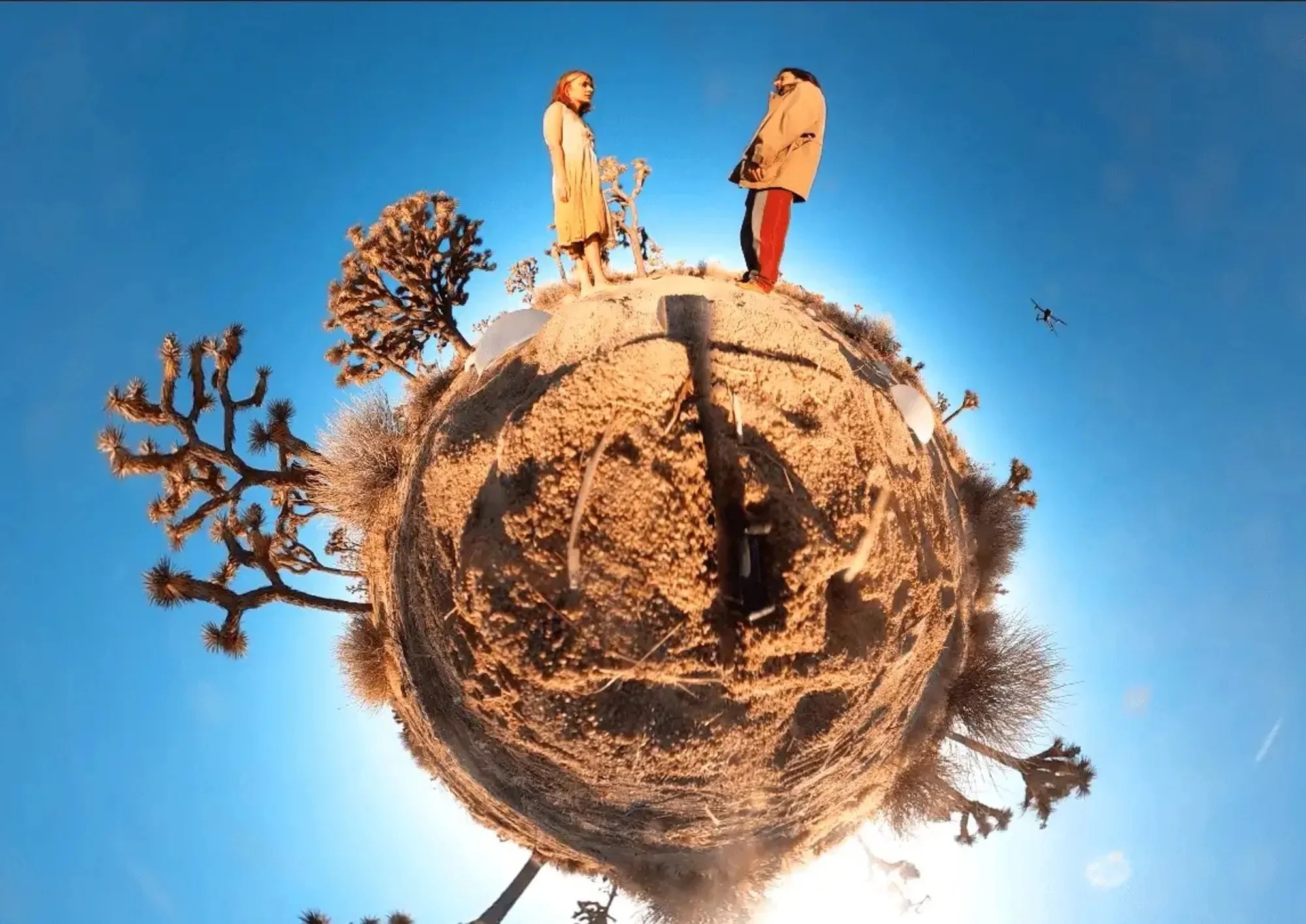 The-Code-Blog.jpeg