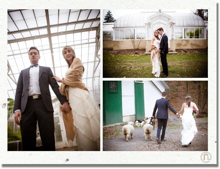 scranton_wedding_photographer_hillside_farm_35.jpg