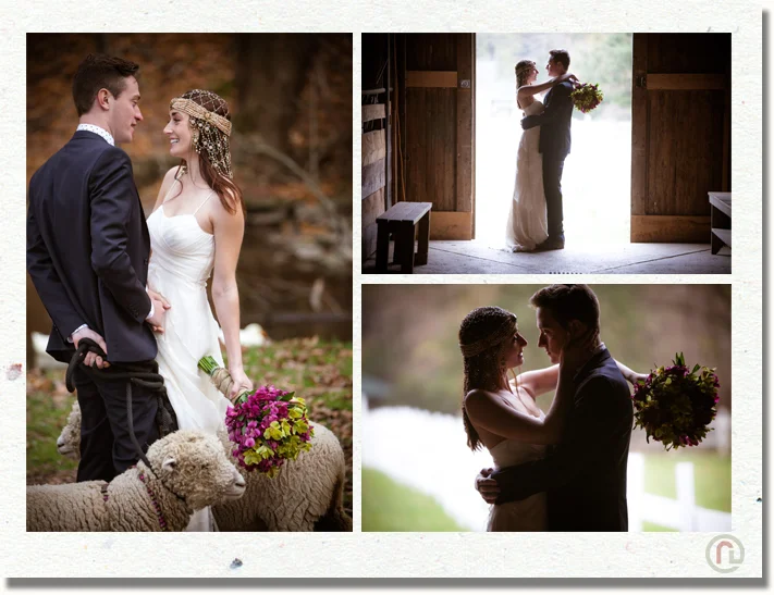 scranton_wedding_photographer_hillside_farm_37.jpg