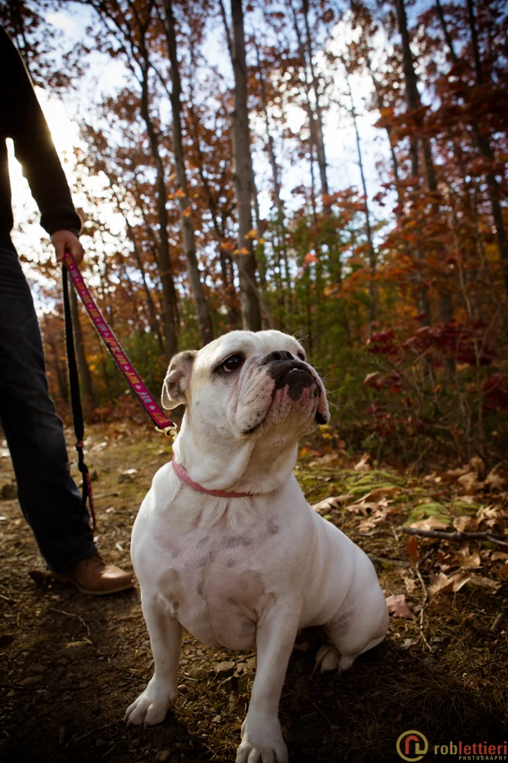 scranton_wedding_photographer_lettieri_pa--13.jpg