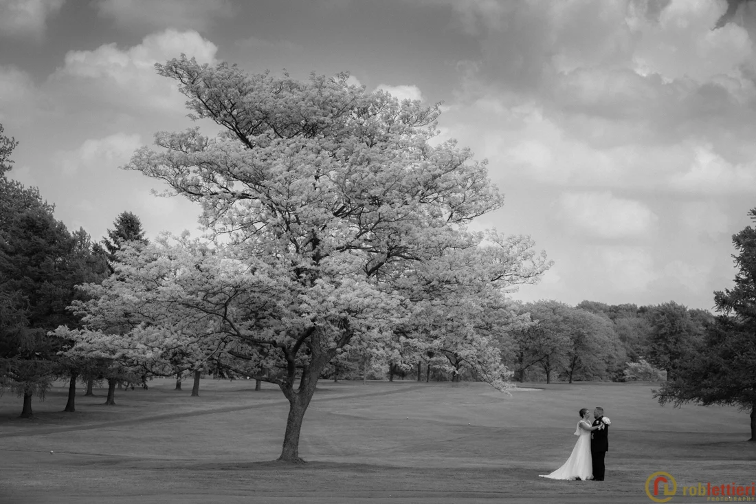 scranton_wedding_photographer_lettieri_pa-0474.jpg