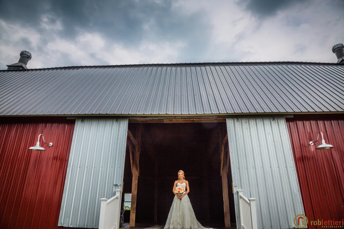 scranton_wedding_photographer_lettieri_pa-0335.jpg