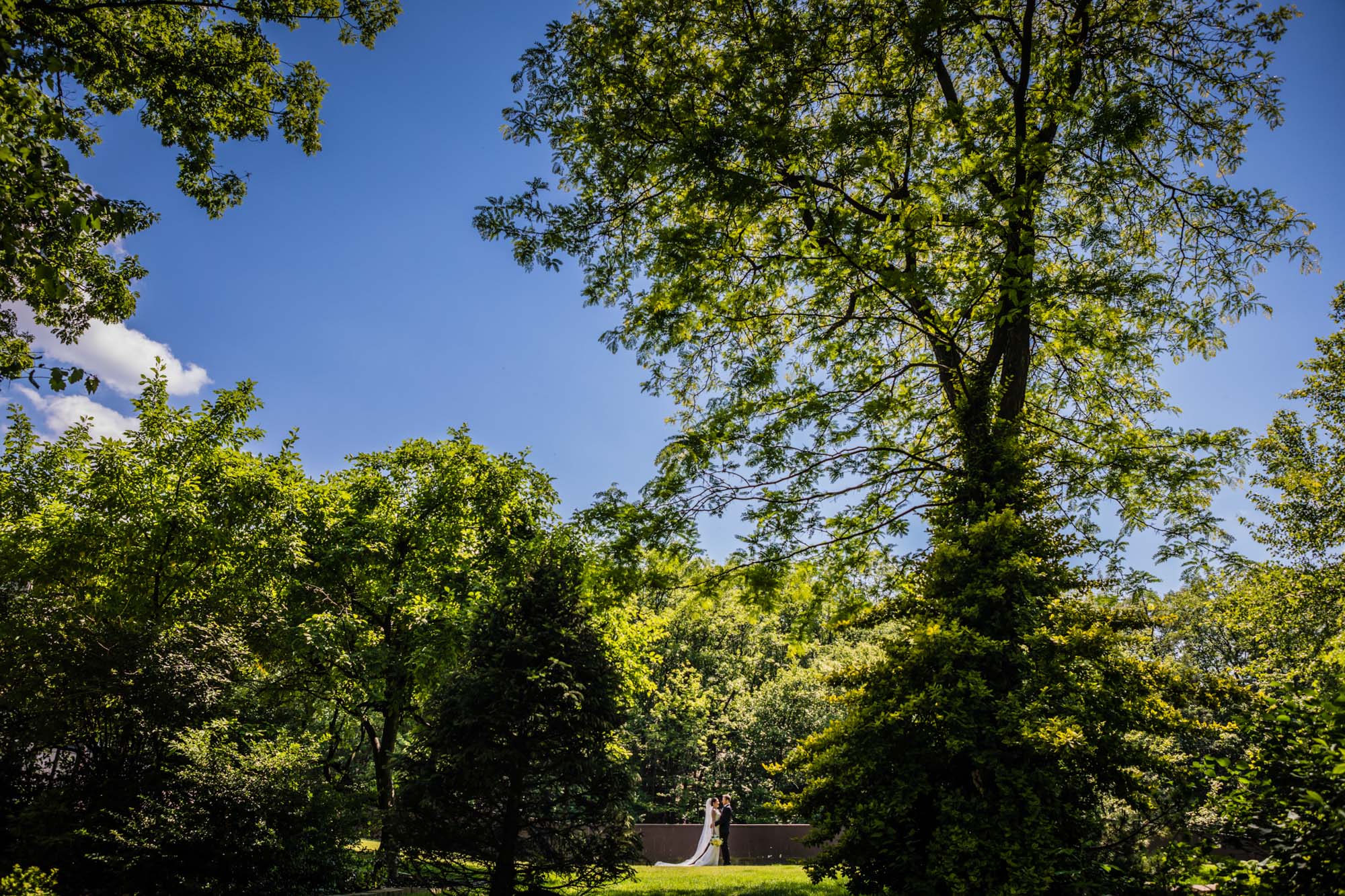 scranton_wedding_photographer_lettieri_pa-0152.jpg