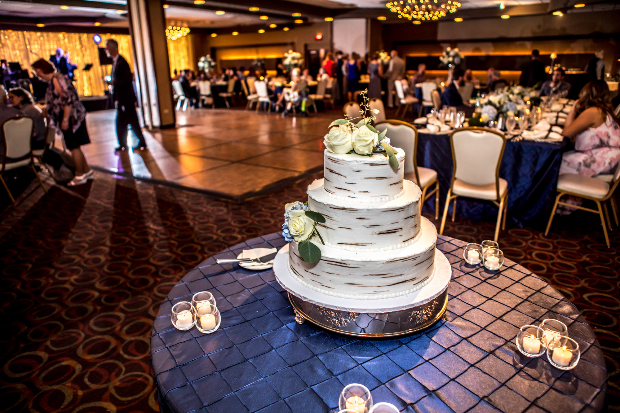 scranton_wedding_photographer_lettieri_pa-0684.jpg