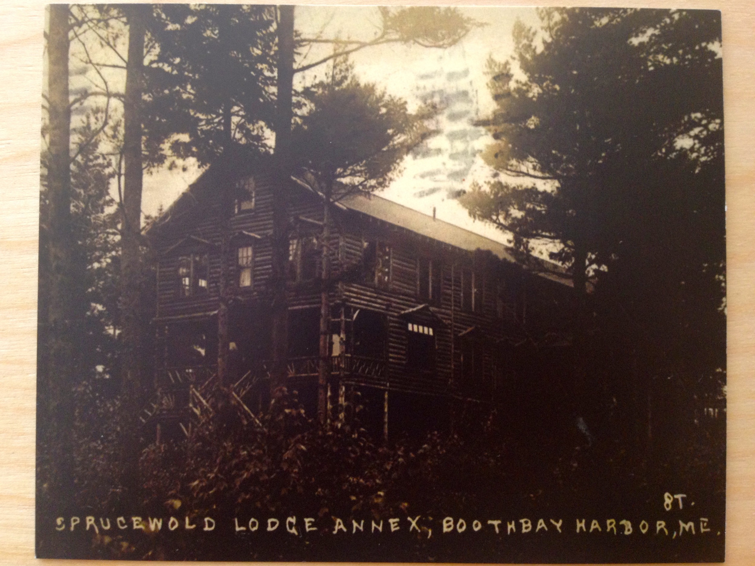 Sprucewold Lodge Vintage Postcard