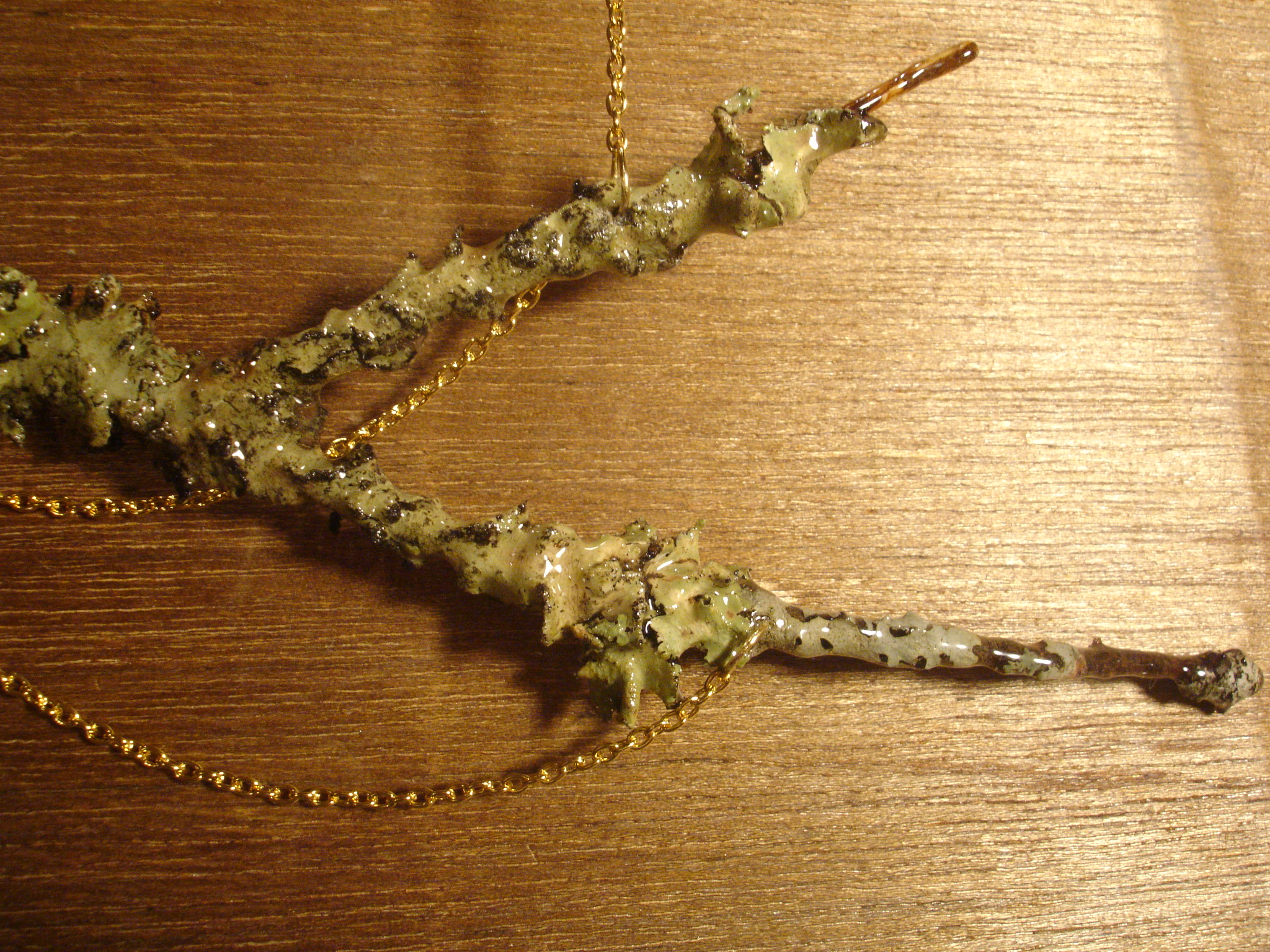 LICHEN - tree jewels