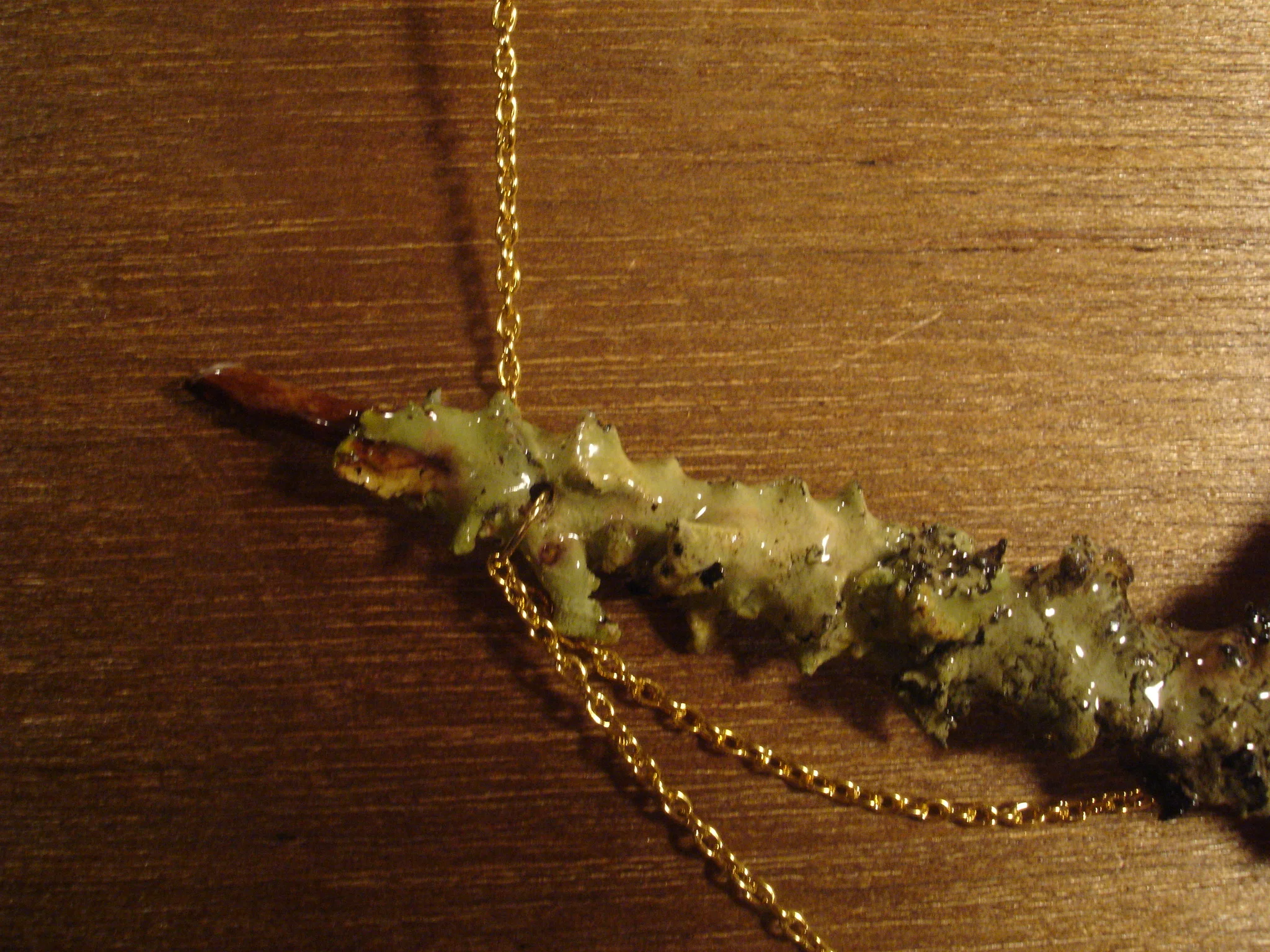 LICHEN - tree jewels