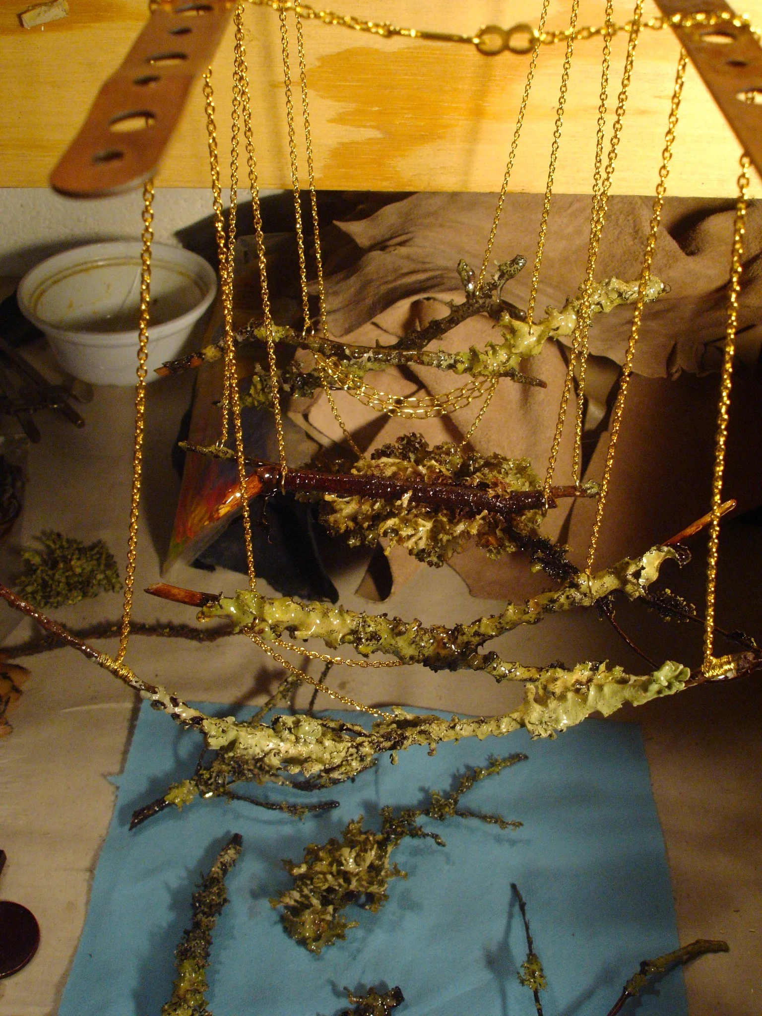 DSC06815.jpg