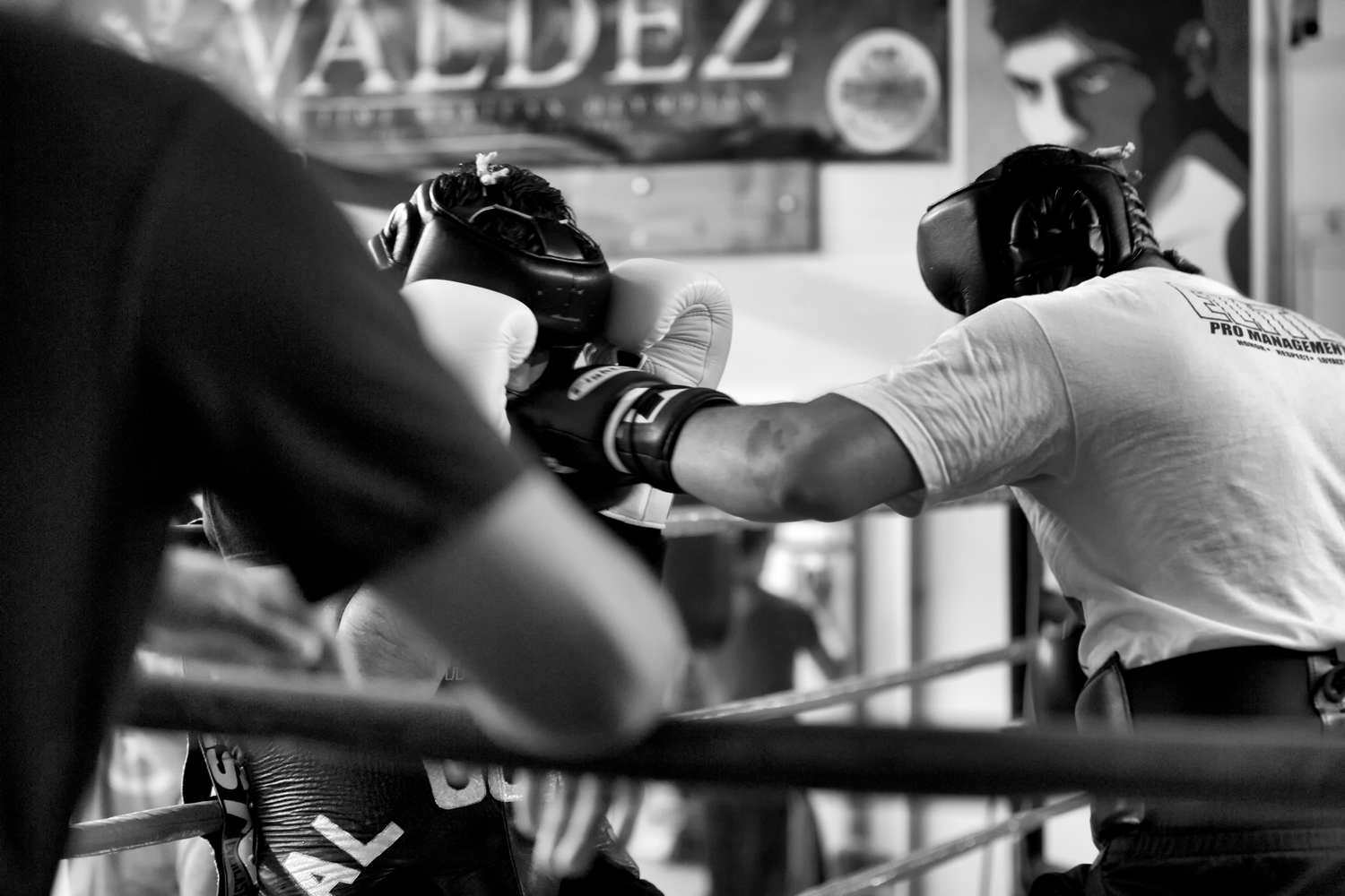 150113_ELITEBOXINGGYM_898.jpg