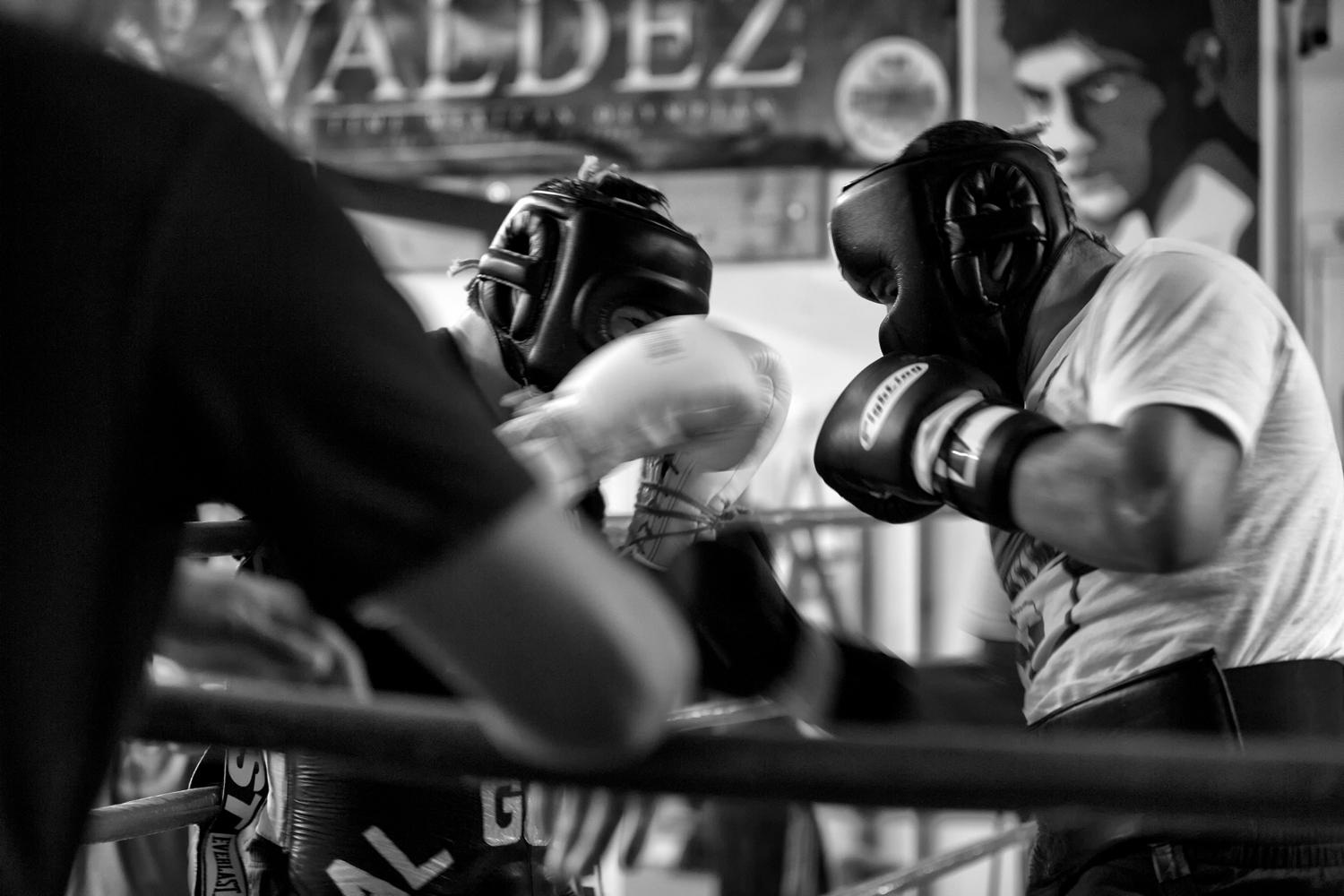 150113_ELITEBOXINGGYM_899.jpg