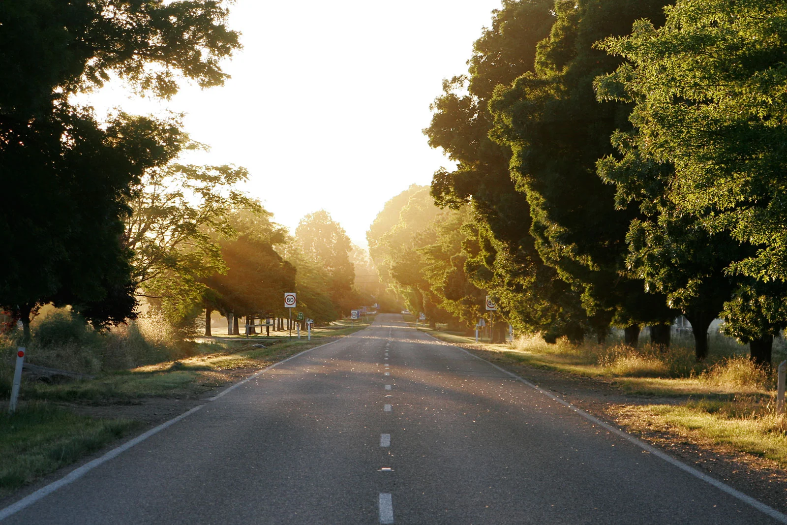 The road forward.jpg