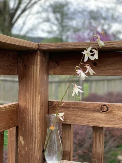 Flower in Vase on Deck.jpg