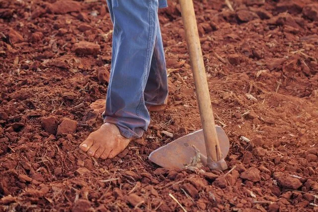 person-plowing-soil-1615784.jpg