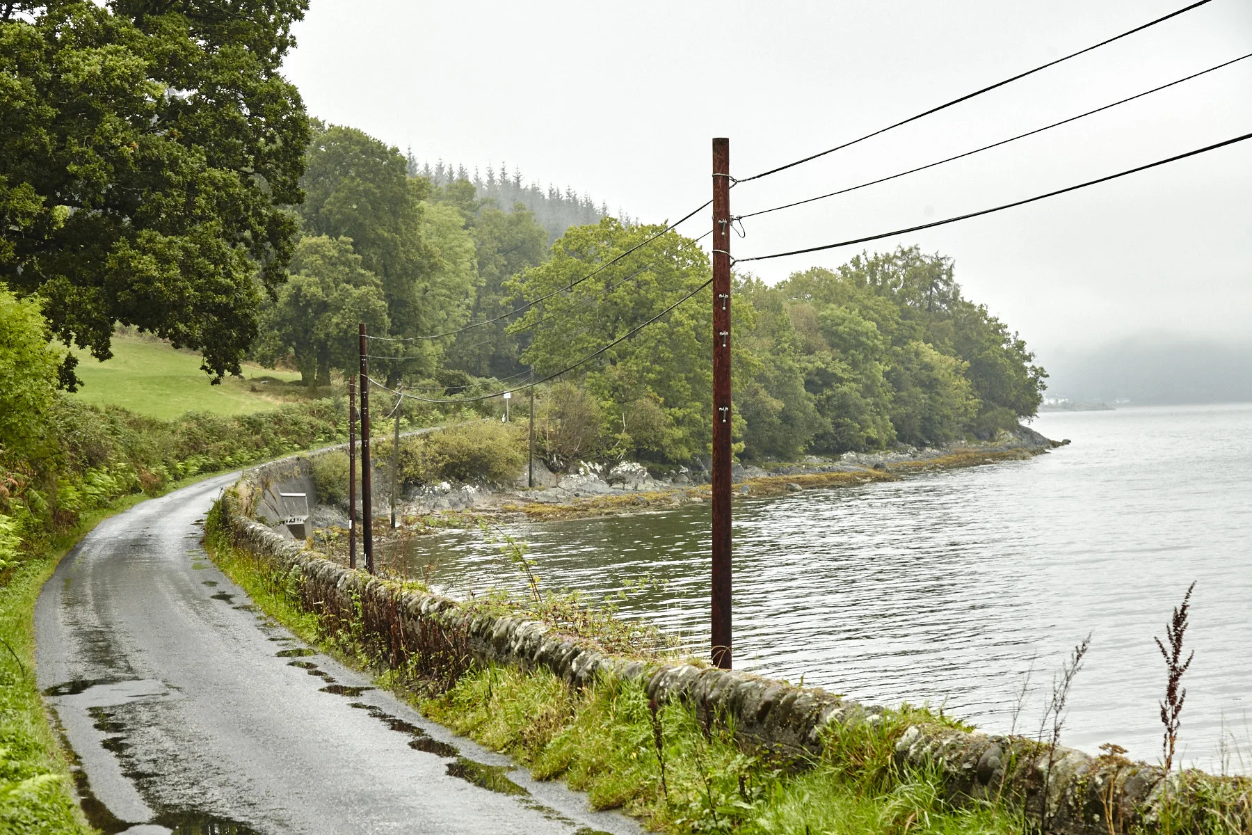 A narrow, winding road runs along a lakeshore, with green grass and trees on the hillside to the left, and water on the right, with telephone poles and power lines parallel to the lake.