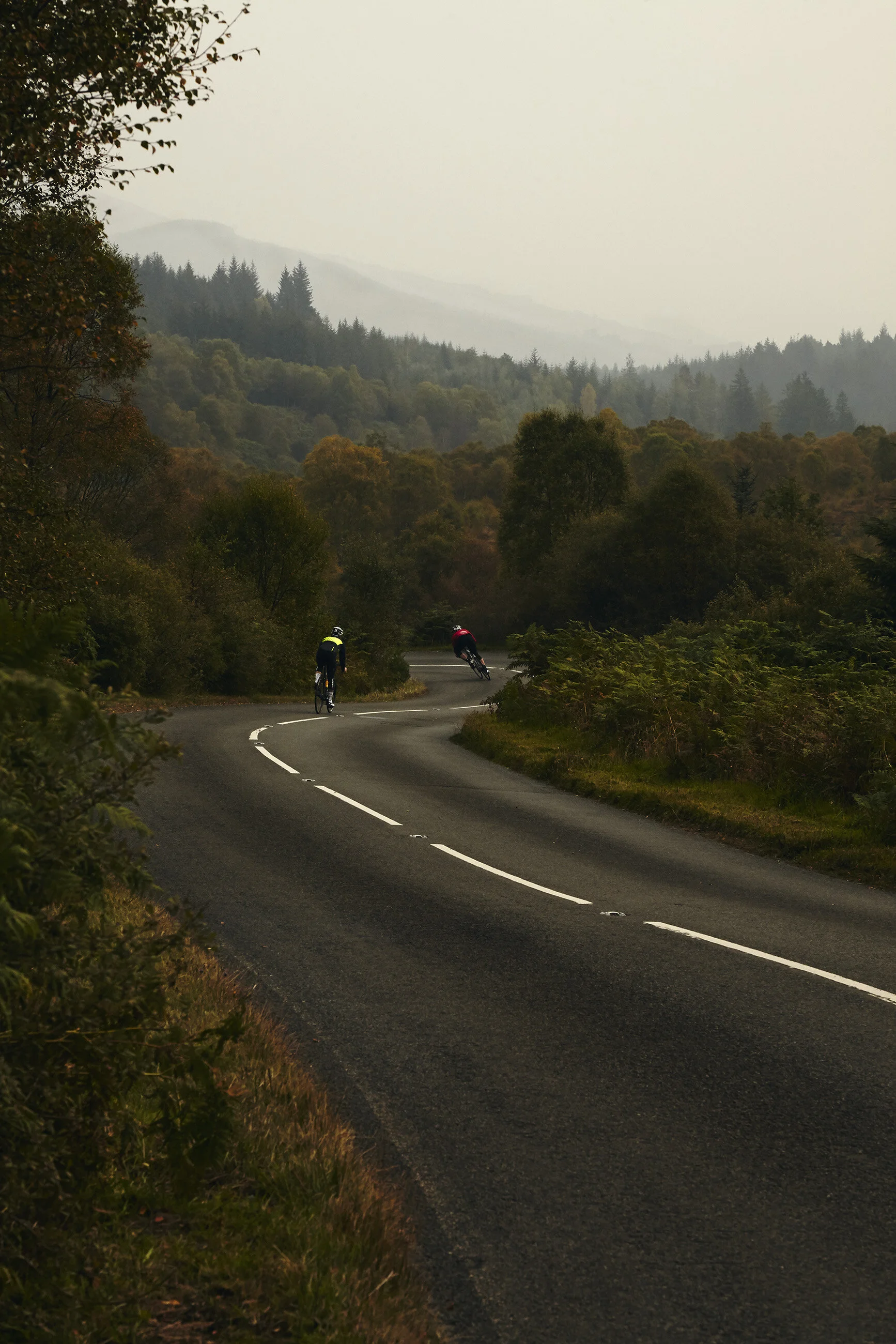 Two cyclists riding on a winding road through a forested mountainous landscape with fog.