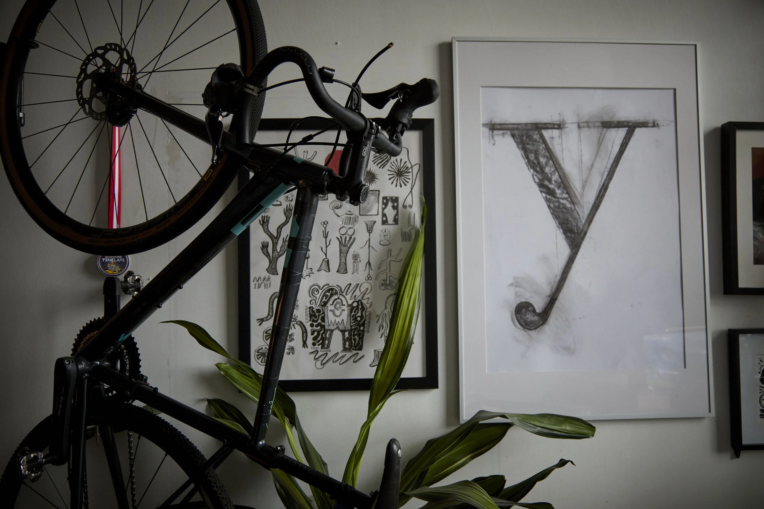 Indoor display of a black bicycle mounted on a wall next to framed artwork, including a graphic of a piano and various line drawings, with a leafy green plant in front of the artwork.