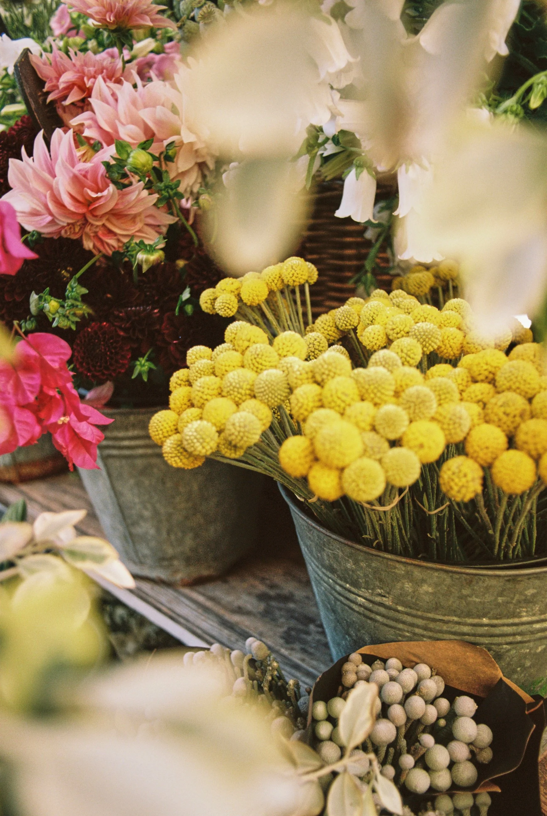 Variety of colorful flowers, including yellow, pink, and white blooms, displayed in metal buckets on a rustic wooden surface.
