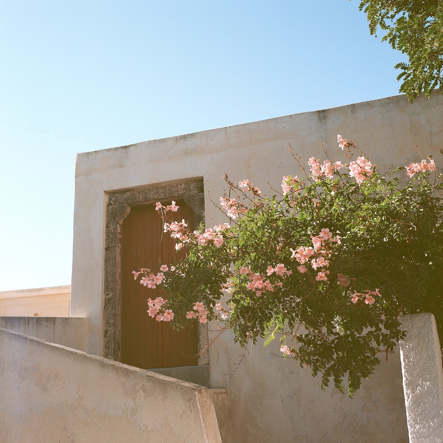A white building with a wooden door framed by a stone border, and a pink flowering bush in front of it, under a clear blue sky.