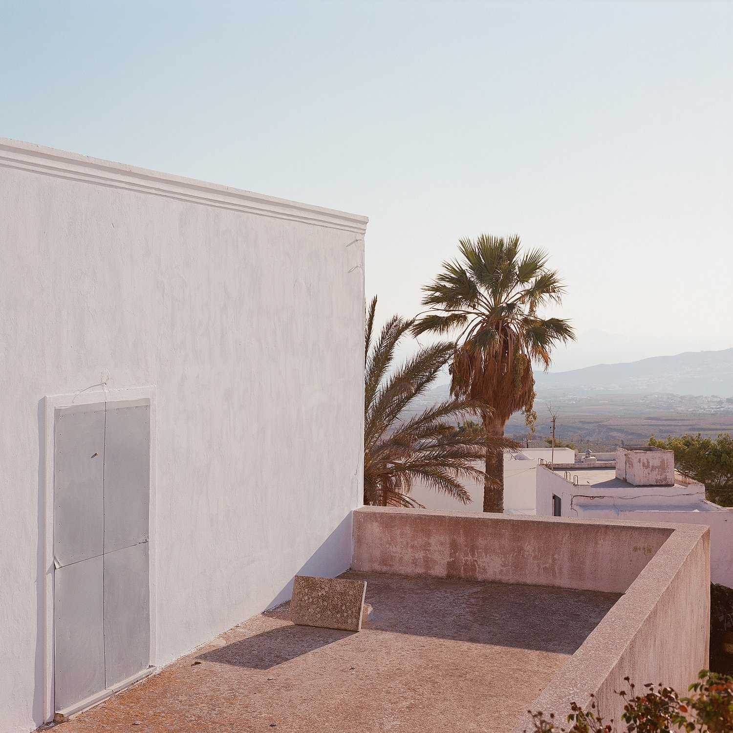 View of a rooftop with a white wall, metal door, and concrete ledge, with palm trees and distant mountains in the background during daytime.