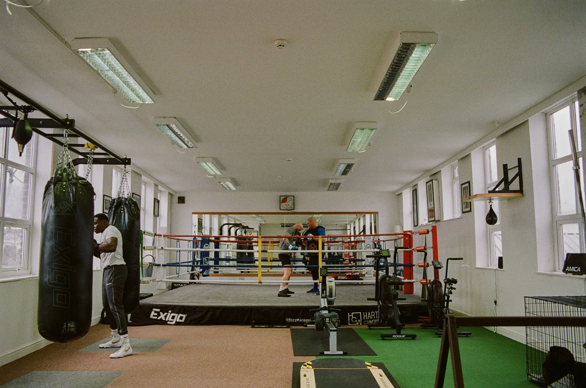 Two people training in a boxing gym, standing inside an elevated boxing ring with red, white, and yellow ropes. One is an older man with a shaved head, and the other is a woman with long hair. The gym has large windows, punching bags, and exercise eq