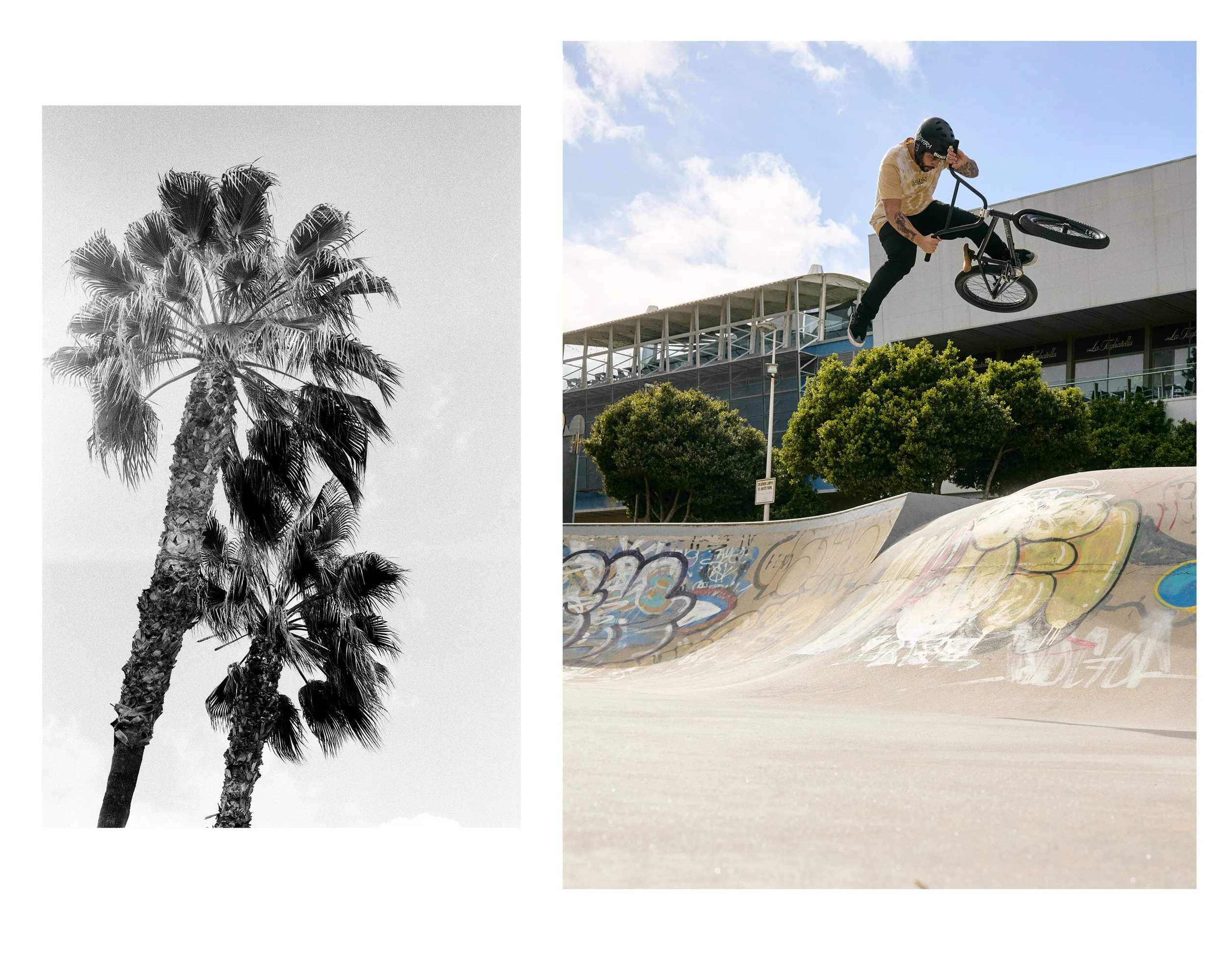 Black and white photo of a tall palm tree on the left; colored photo of a man performing a BMX trick in a skatepark on the right.