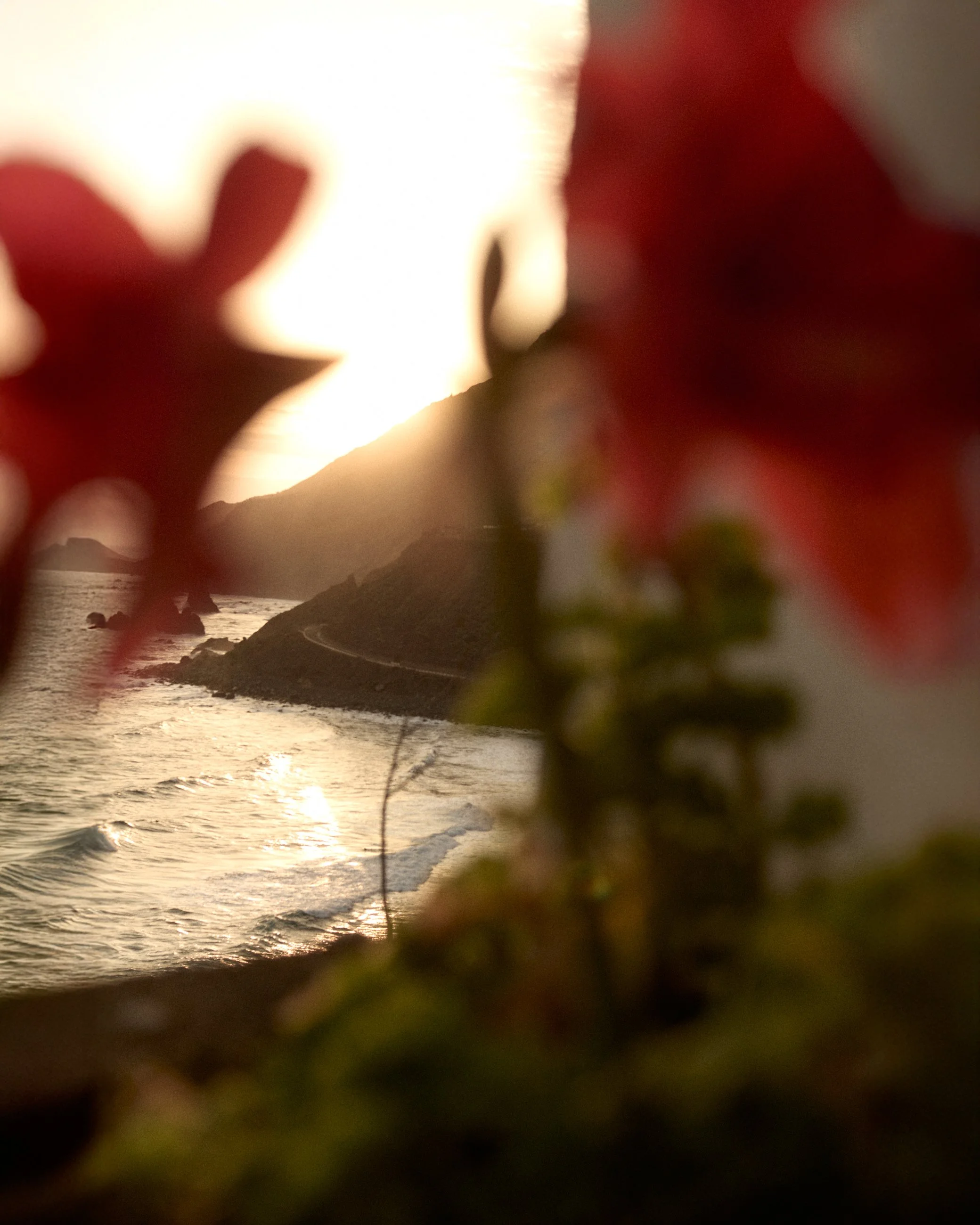 A sunset view through blurred pink flowers, overlooking a winding road along a coastal landscape with hills and water.