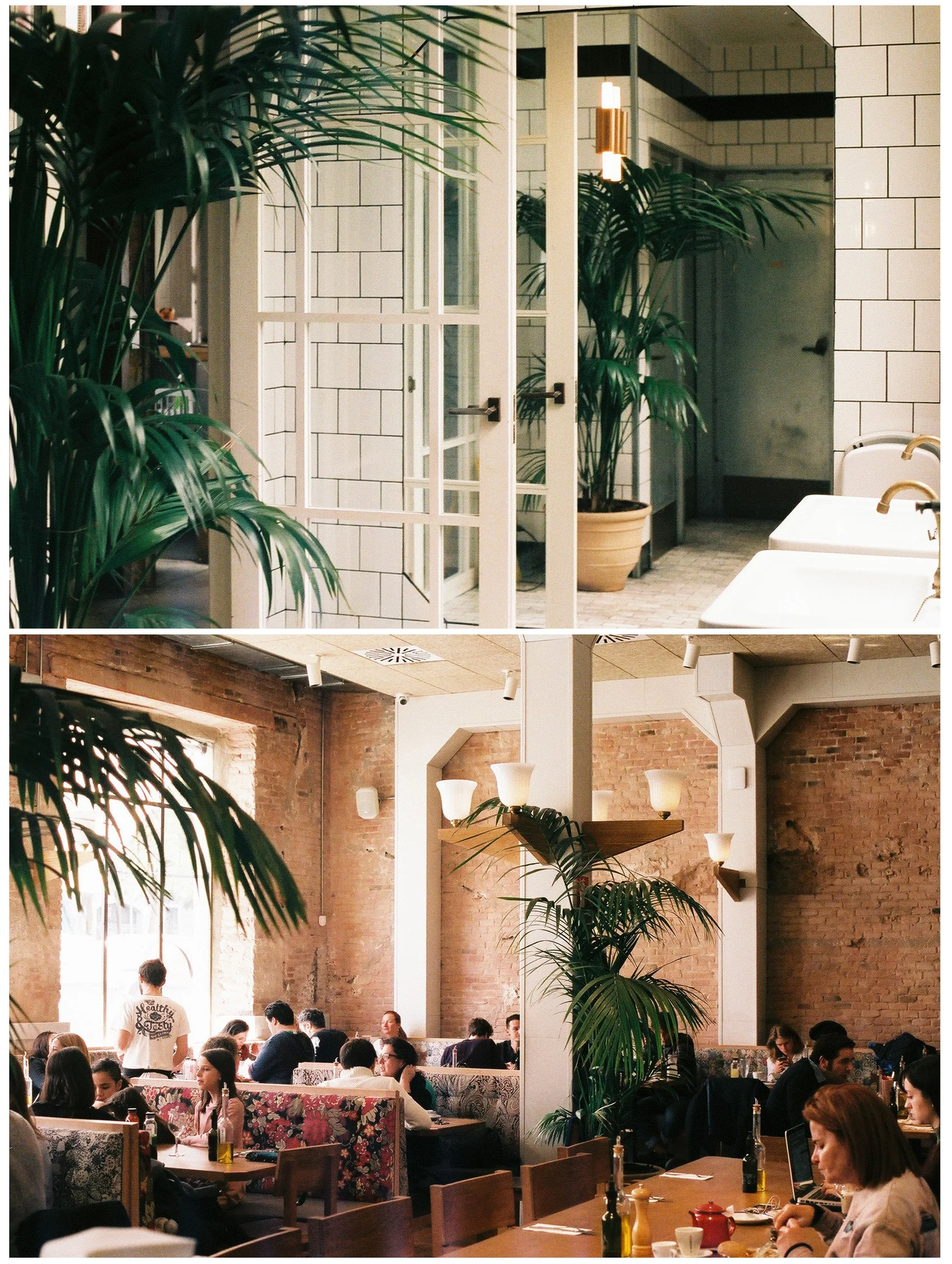 Top: Interior view of a modern cafe with white tiled walls, a large glass door, green plants, and gold accents. Bottom: Cozy restaurant filled with people dining, with exposed brick walls, high ceilings, large windows, indoor plants, and tiered seati