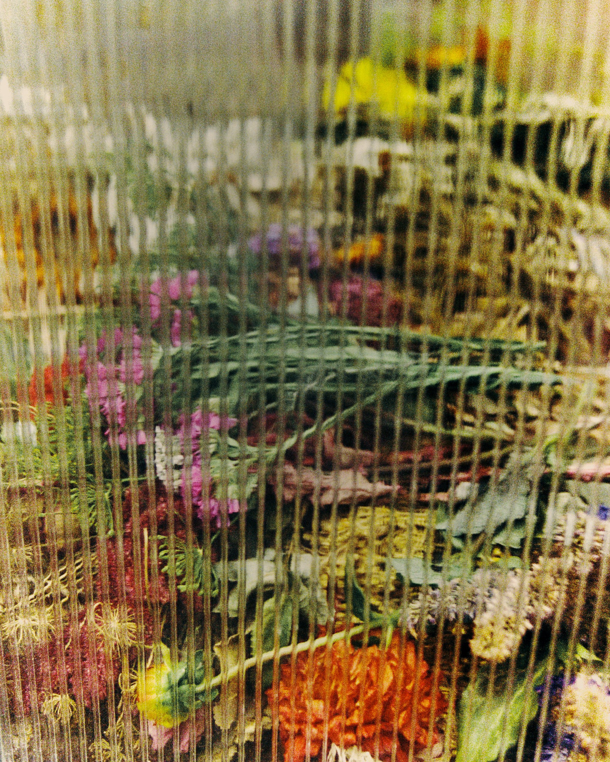 Colorful flowers seen through a textured, vertical glass surface that distorts the view.
