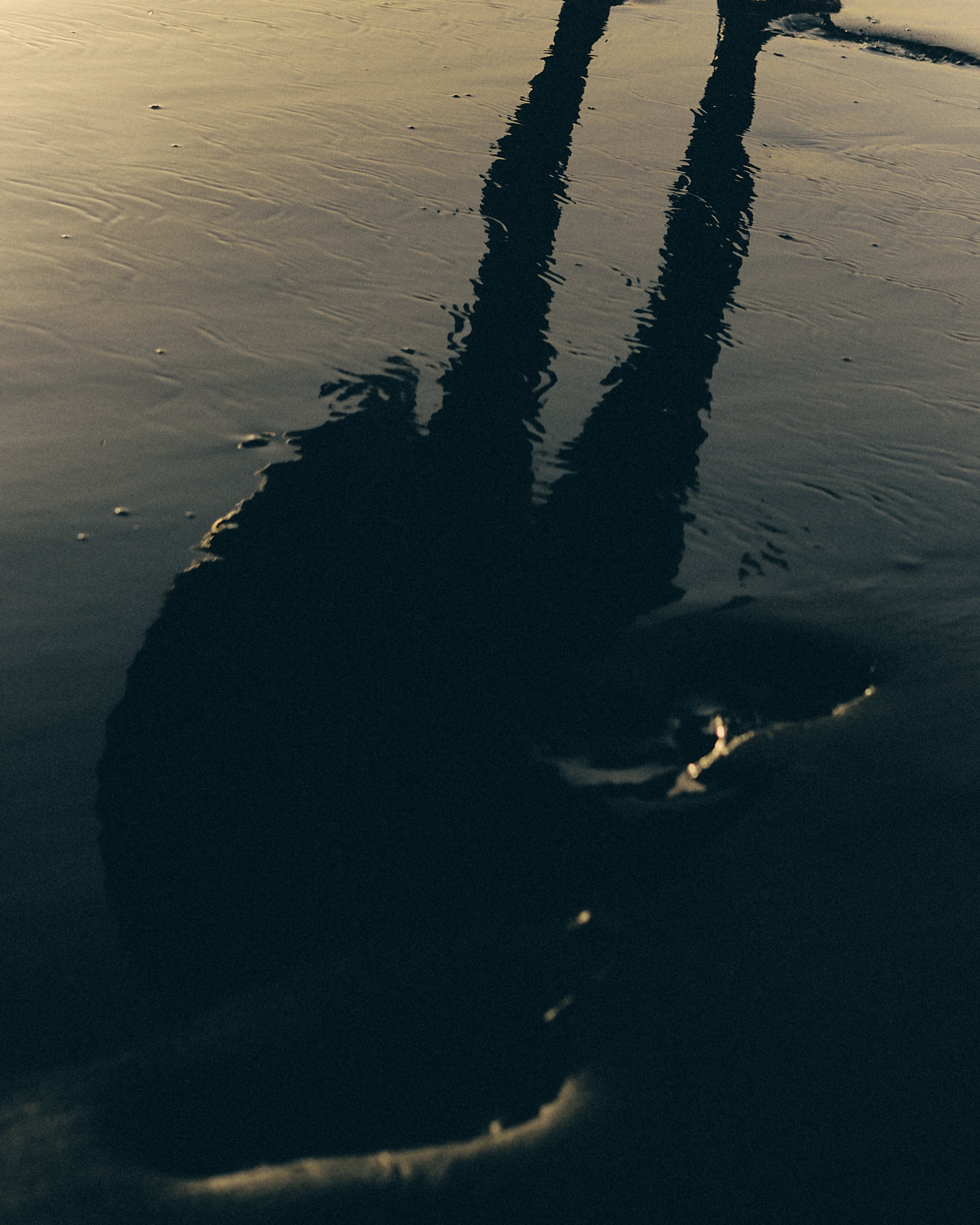 Reflection of a person's legs and feet on wet sand.