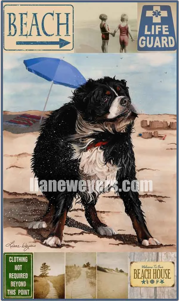 DogDaysA_WM_web.jpg