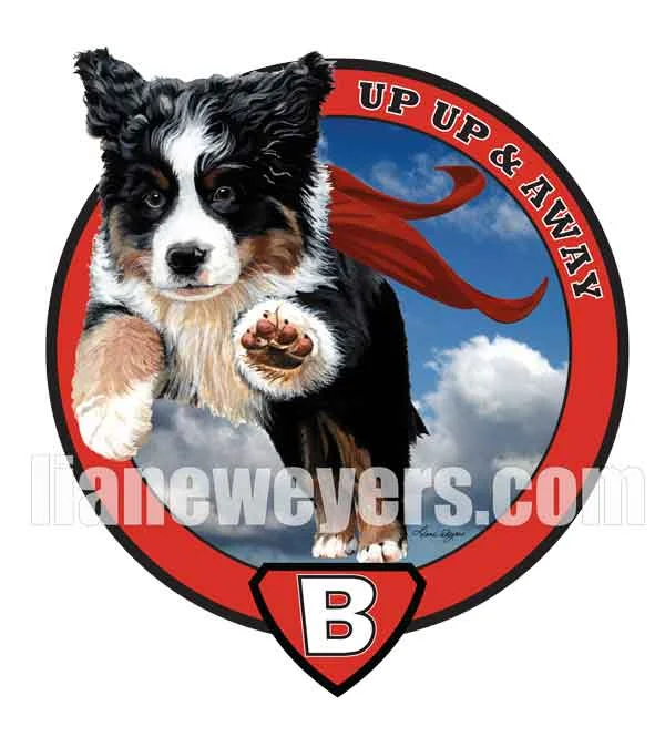SuperBerner_WM_web.jpg