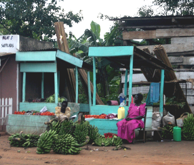 banana_stands_in_uganda_2.jpg