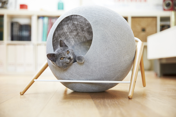 cocoon-cat-furniture.jpg