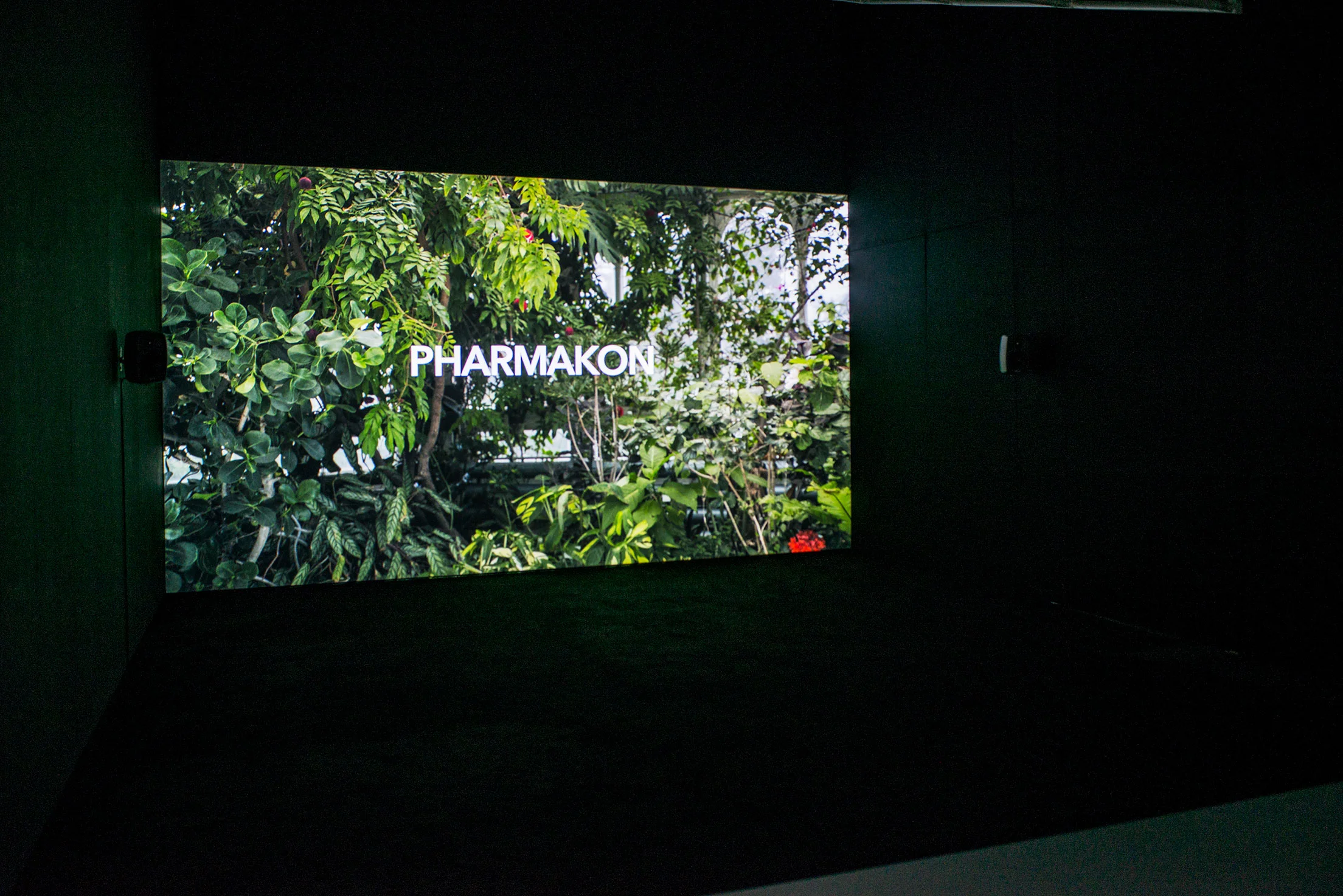 Liverpool Biennial 2016_(WEB)_35.jpg