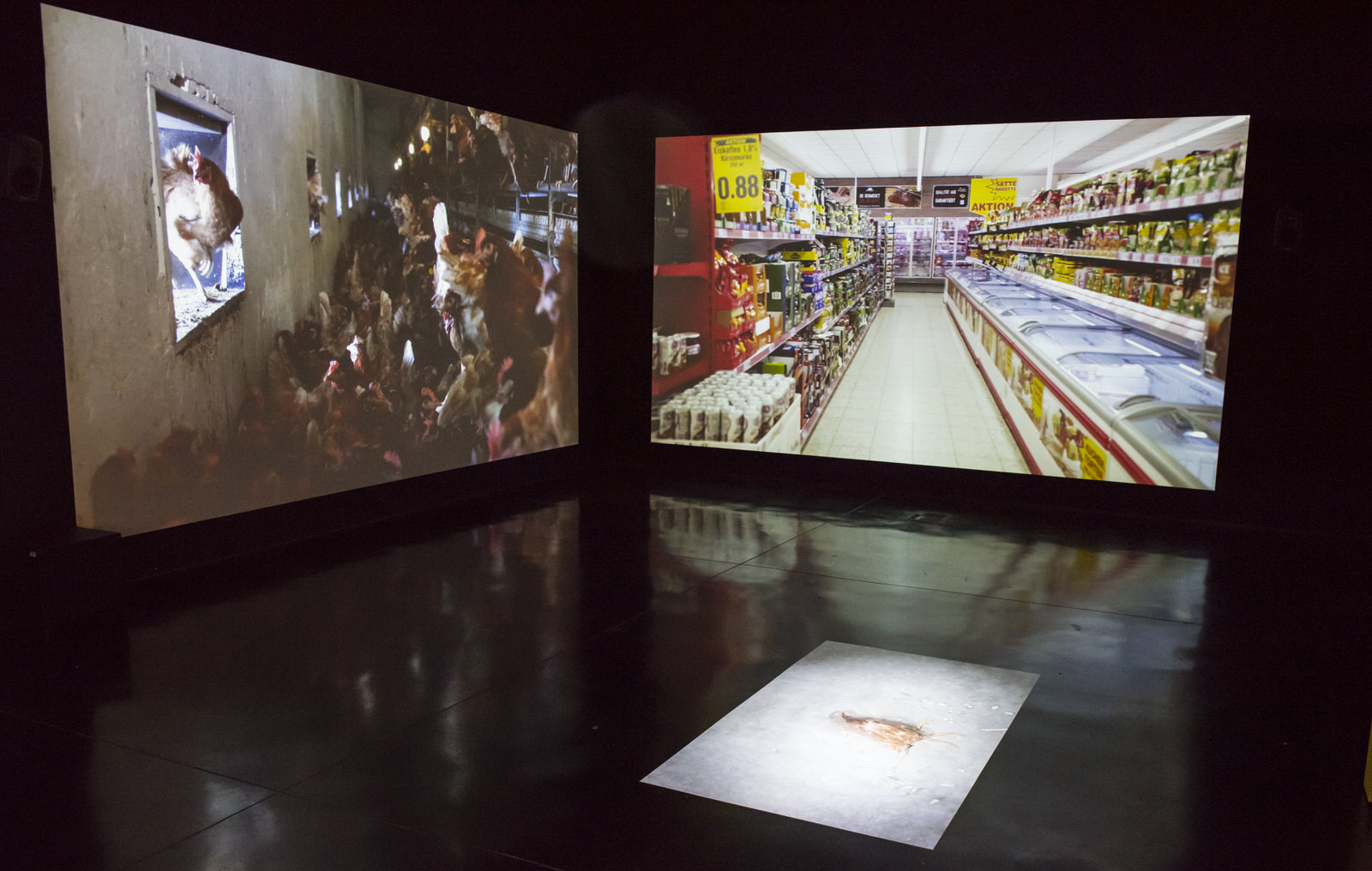 FACT 11_16_HIGH res_161.JPG