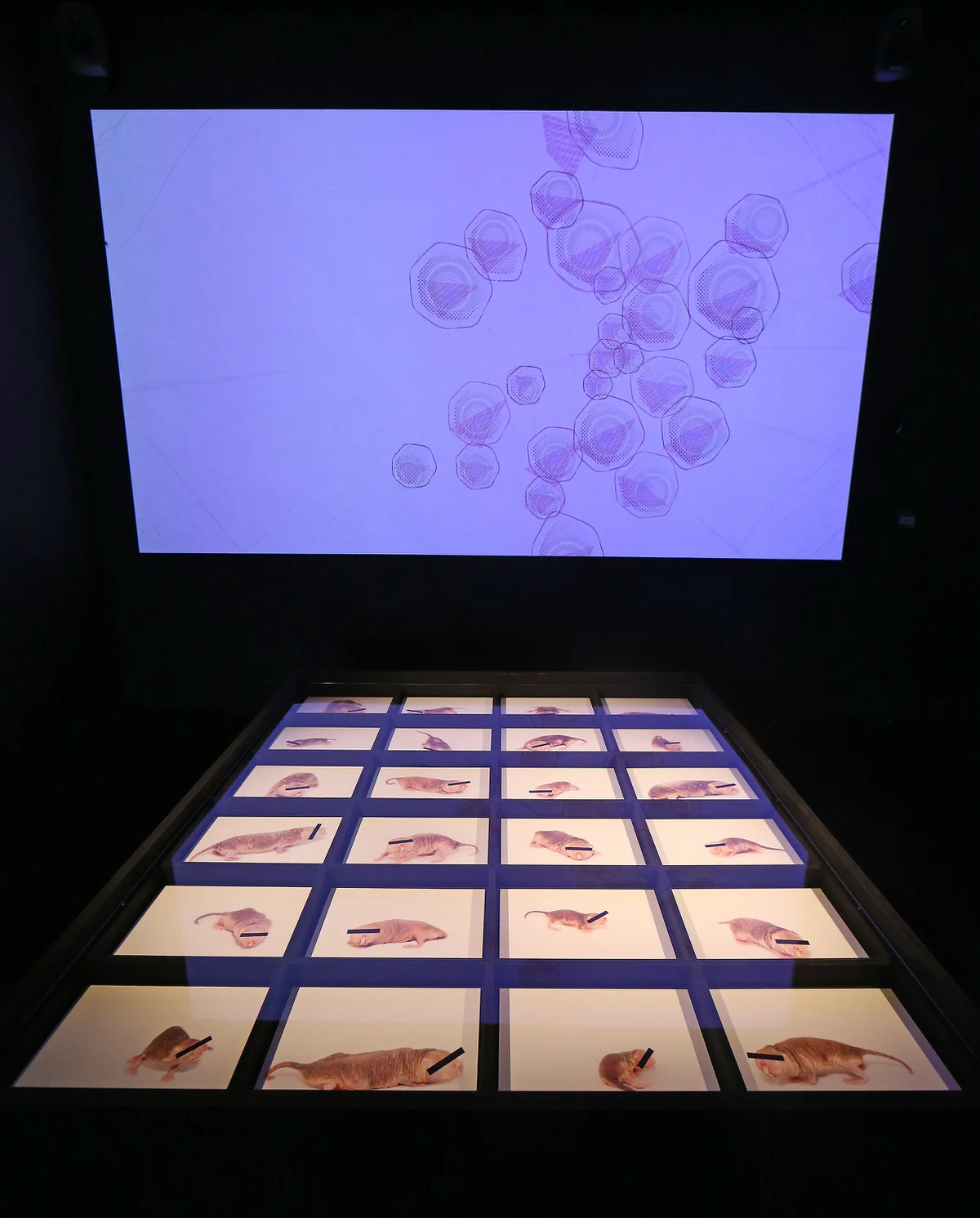 FACT New Observatory Installations 009.JPG