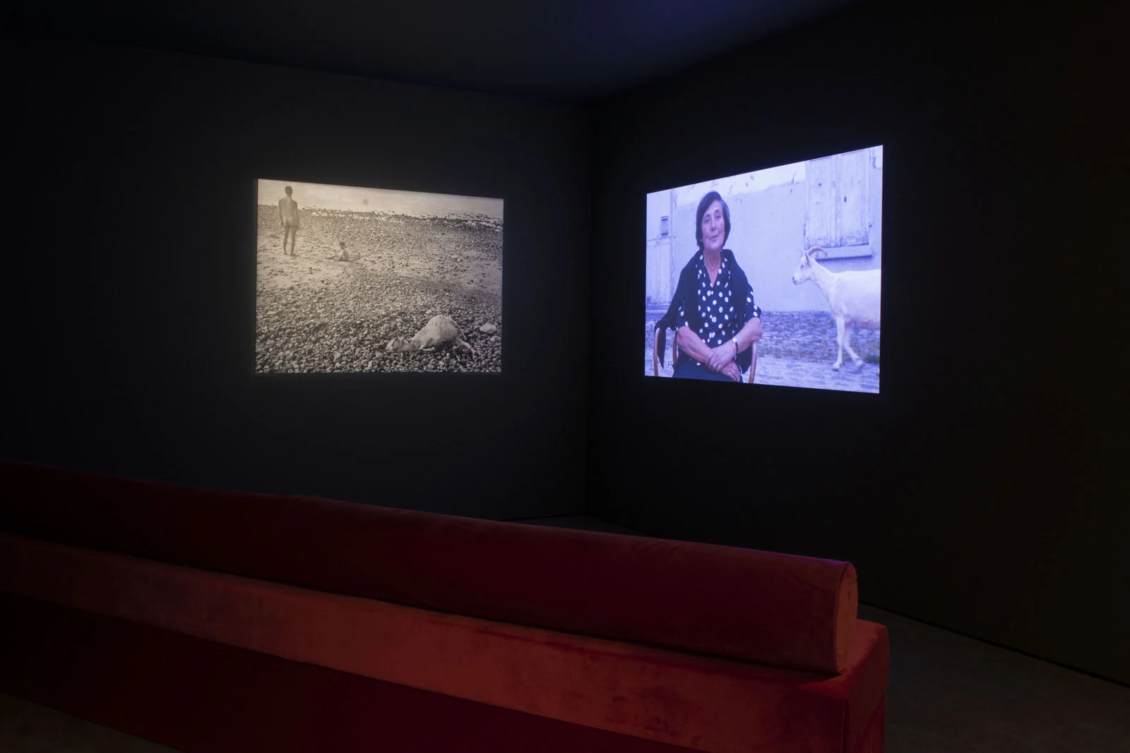 Agnes Varda_3.JPG
