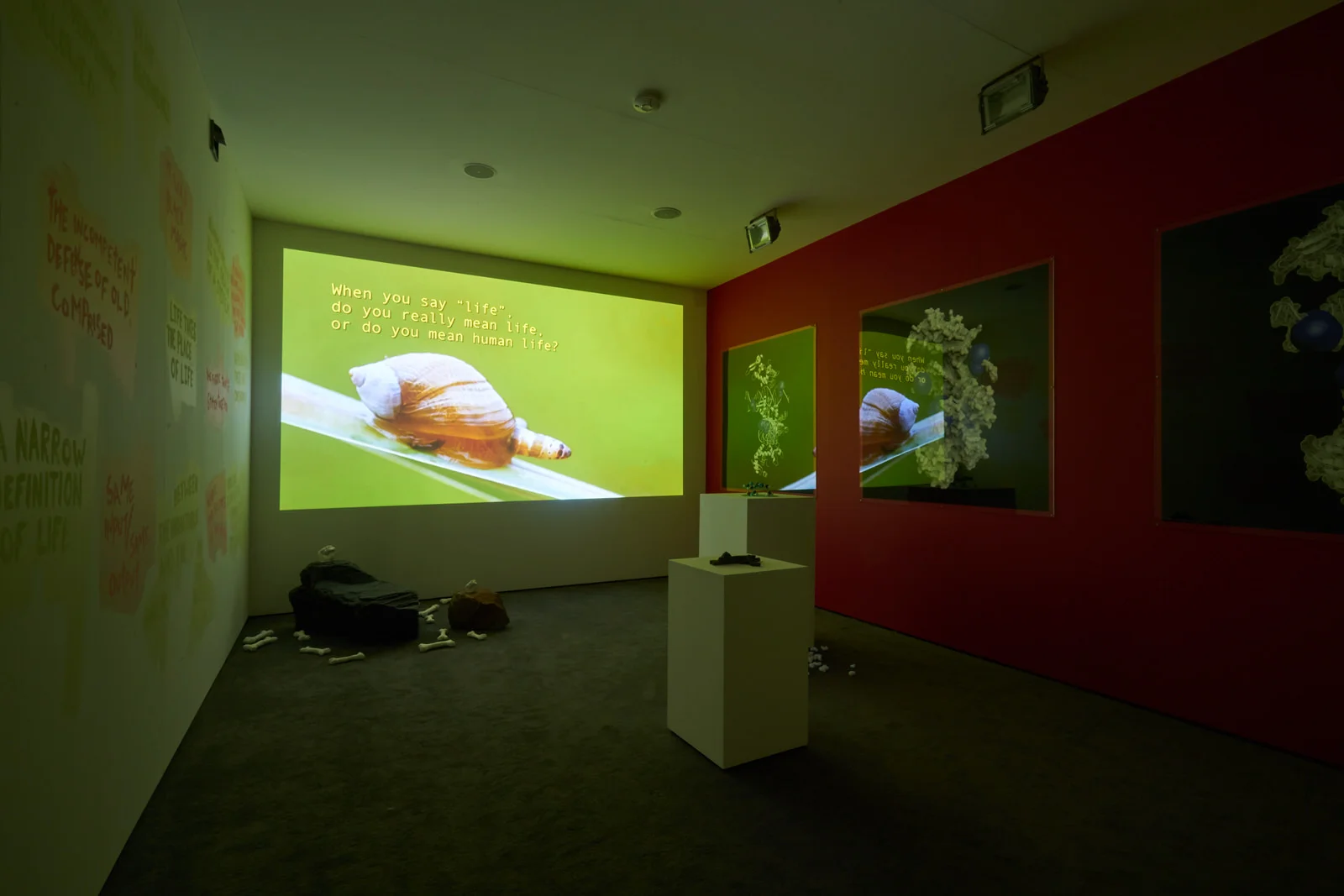 Julieta Aranda 'Stealing one's own corpse' 3.jpg