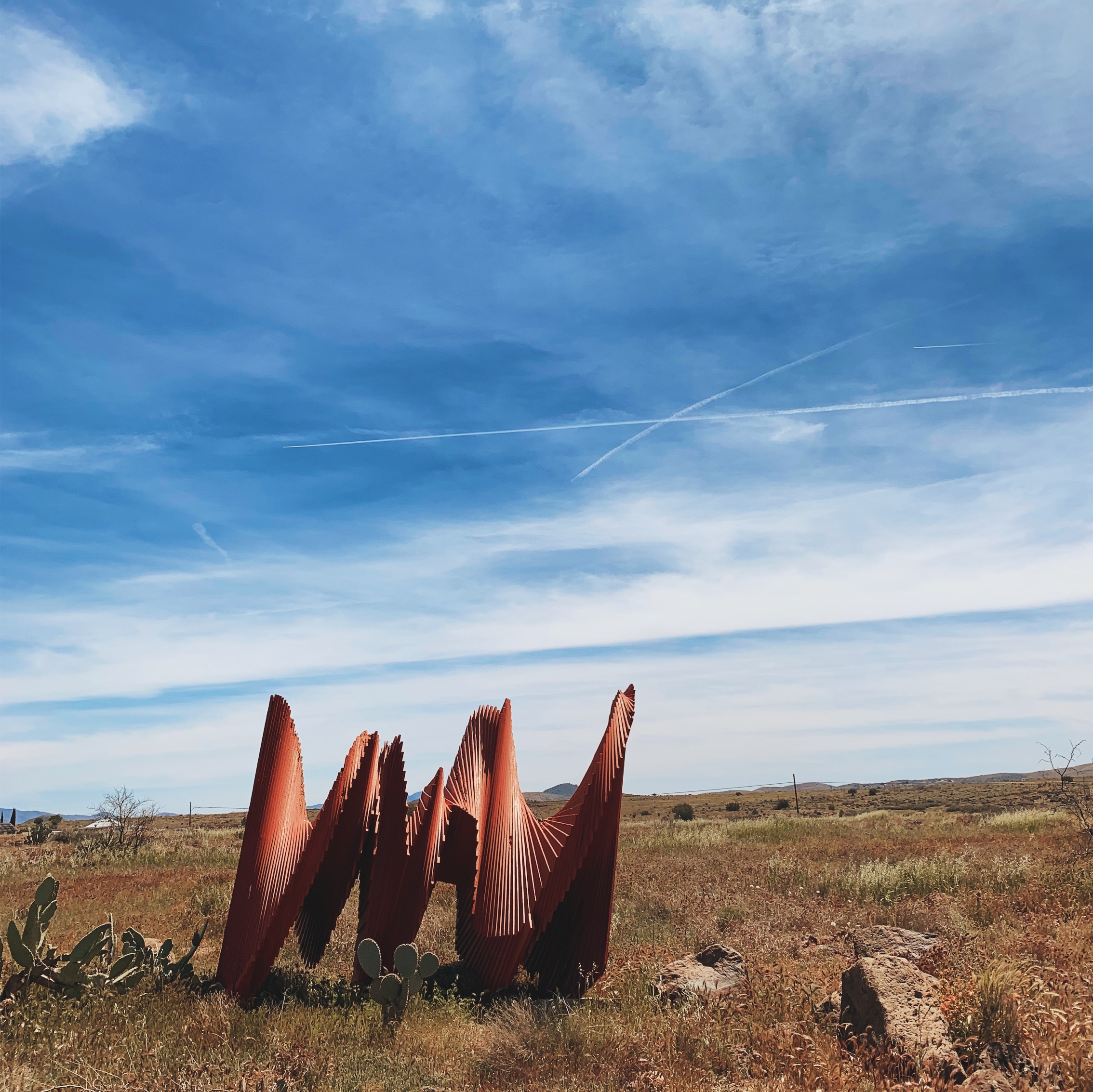 the squids arcosanti 2