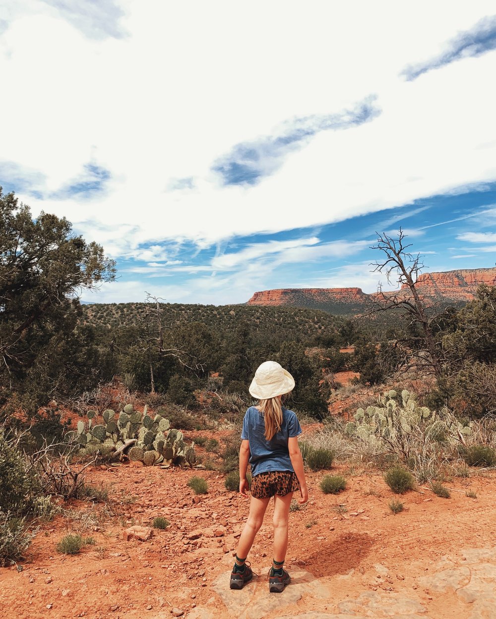 the squids sedona hike