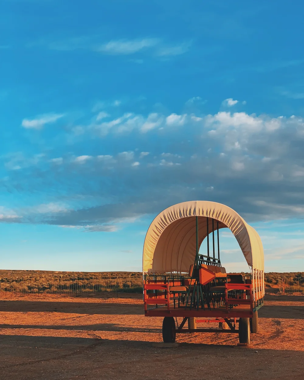the squids arizona wagon