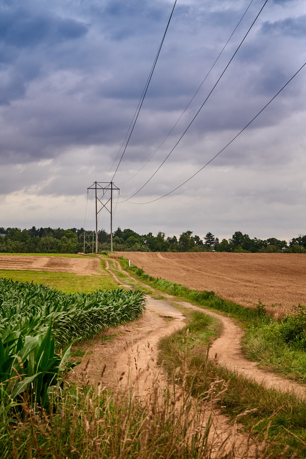 Before Storm .jpg