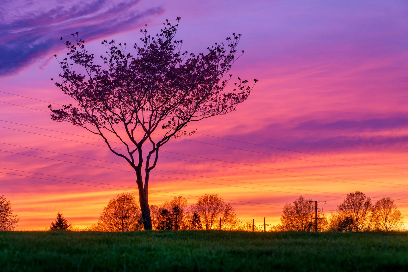 Spring Sunset1.jpg