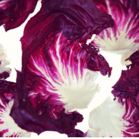 An Instagrammed film still from "Zergüt", a gorgeous film by Chayka Sofia