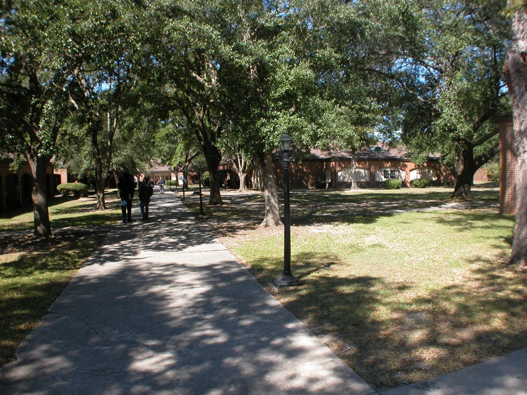 JDCC Leigh Library — Aho Architects, LLC