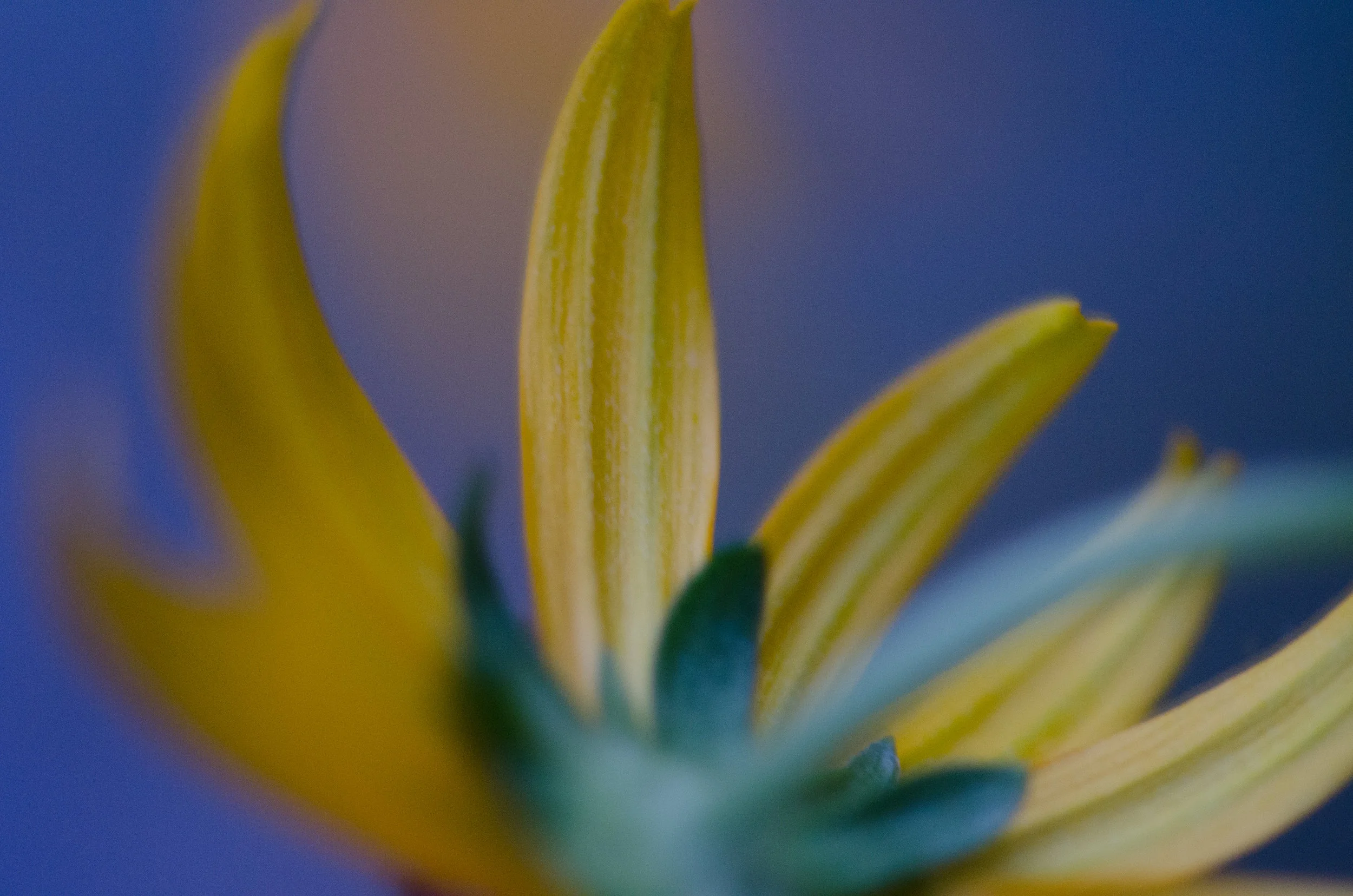 20120817_D7000_Deerlake-8.jpg