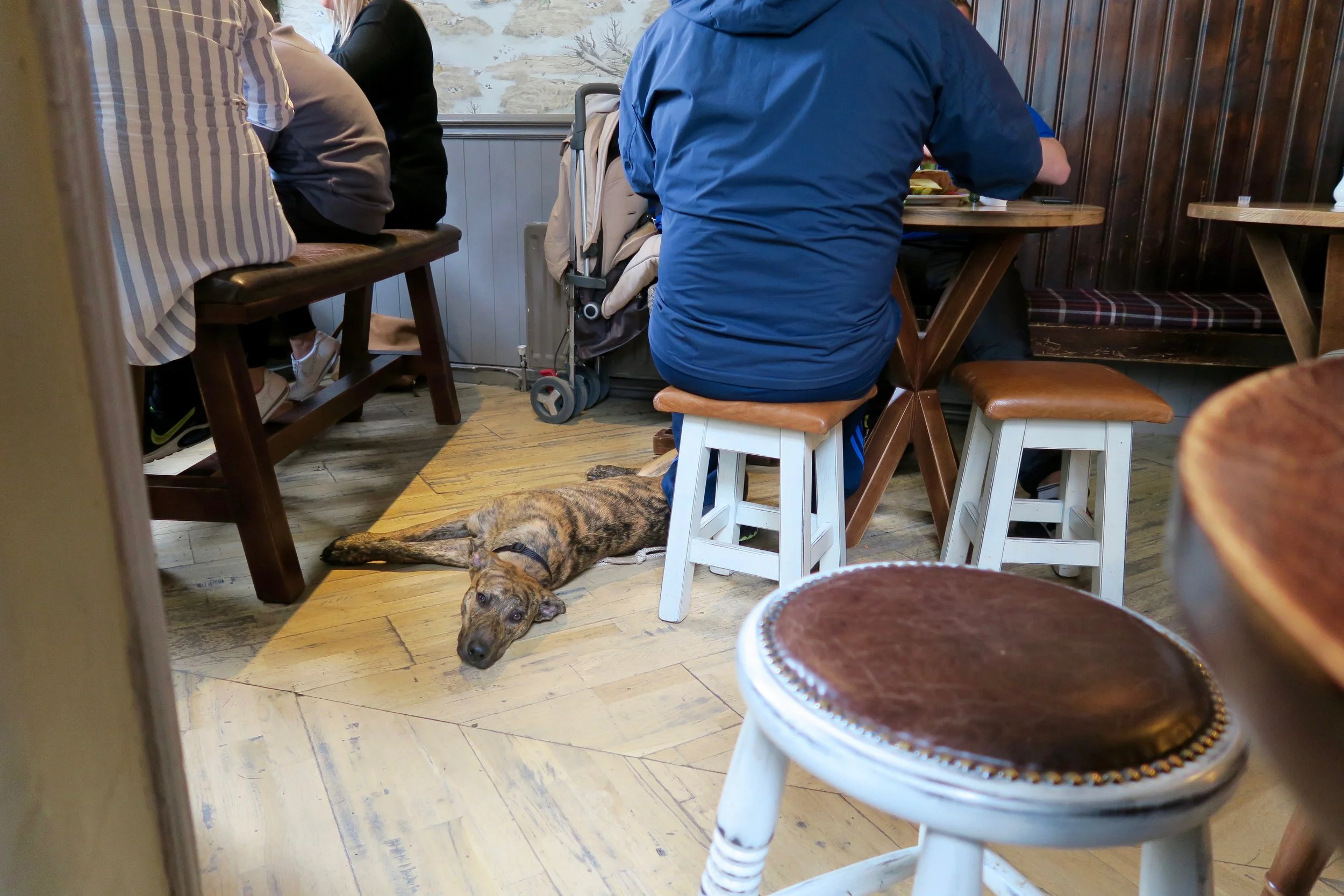 This is from Keswick, England — The Dog & Gun Pub.